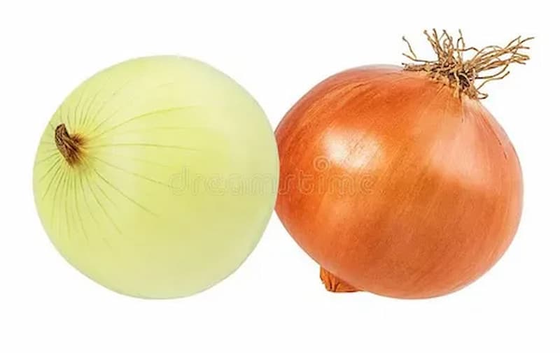 فروش پیاز وحشی